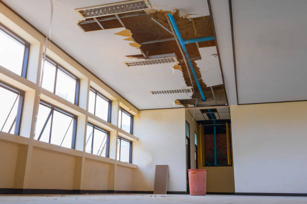 Best Water damage restoration near me  in Barnhart, MO
