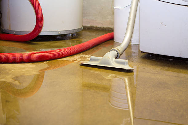 Best Flood damage cleanup  in Barnhart, MO