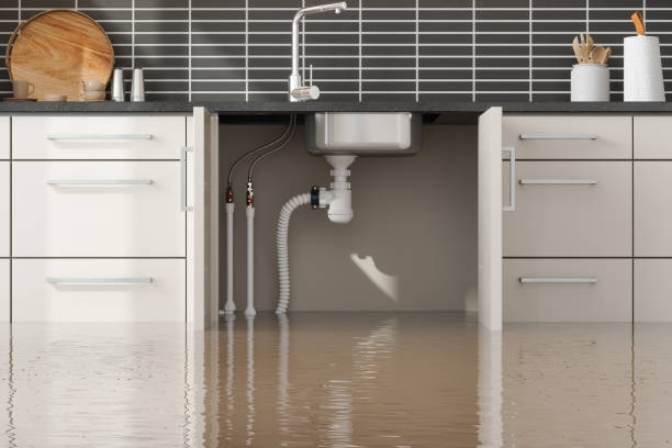 Best Flooded house restoration  in Barnhart, MO