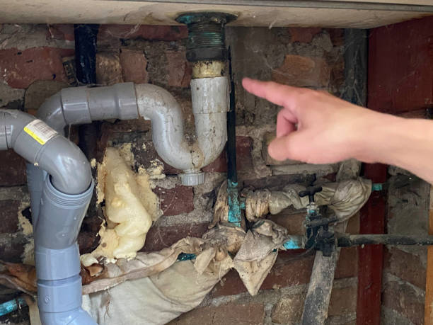 Best Basement water damage restoration  in Barnhart, MO