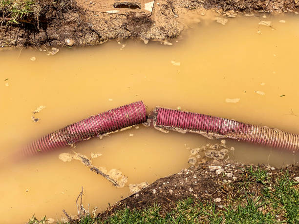 Best Water damage restoration near me  in Barnhart, MO